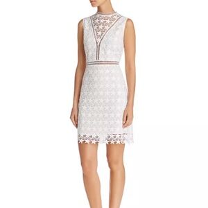 Sam Edelman star lace sheath dress